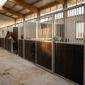 Façade avec porte coulissante col de cygne résine